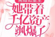 离婚如重生,她带着千亿资产飒爆了免费阅读,离婚如重生,她带着千亿资产飒爆了章节在线阅读-经典文学