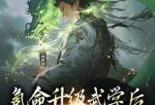 求氪命升级武学后，我砍妖王拿寿元小说的全文免费阅读链接-经典文学
