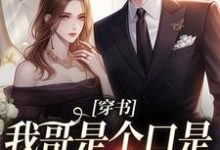 穿书:我哥是个口是心非的大妹控章节免费在线阅读,沈诺完结版-经典文学