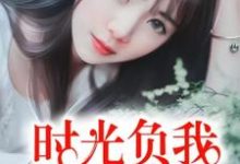 免费在线阅读时光负我，不负情深小说的正规网站有哪些？-经典文学