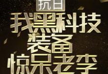 抗日：我黑科技装备惊呆老李小说有没有完结版在线？-经典文学