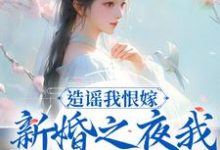 已完结小说《造谣我恨嫁？新婚之夜我火烧你府院》最新章节-经典文学