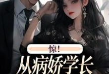 惊！从病娇学长身边逃跑失败了叶寒向暖在线章节免费阅读-经典文学