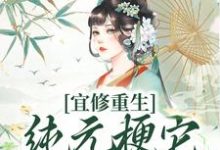 宜修重生纯元梗它不管用了!小说无弹窗阅读的网站推荐-经典文学