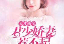 天才萌宝:君少娇妻惹不起小说,天才萌宝:君少娇妻惹不起在线阅读-经典文学