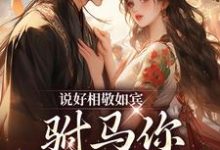 说好相敬如宾，驸马你干嘛宽衣免费阅读，说好相敬如宾，驸马你干嘛宽衣章节在线阅读-经典文学