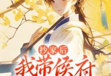 免费看抄家后，我带侯府发家致富小说的网站有哪些？-经典文学