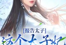 沈骊珠李延玺小说叫什么（报告太子：这个太子妃好眼熟免费阅读）-经典文学