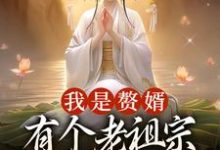 我是赘婿,有个老祖宗娘子很合理吧小说的免费阅读版本在哪里可以找到?-经典文学