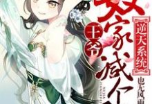 韩菲秦澈小说《逆天系统：王爷，奴家减个肥》在线阅读-经典文学