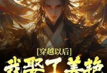 小说《穿越以后，我娶了美艳宗主当老婆》章节阅读-经典文学