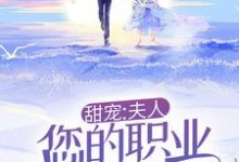 哪里能找到甜宠：夫人，您的职业操守呢！小说的全部章节？-经典文学