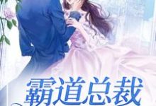 霸道总裁求抱抱这本小说怎么样？免费在线阅读试试-经典文学
