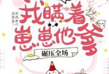 豪门团宠：我瞒着崽崽他爹，碾压全场！唐初伊战景西唐小佑，豪门团宠：我瞒着崽崽他爹，碾压全场！小说免费阅读-经典文学