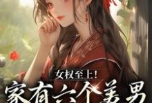 免费在线阅读女权至上！家有六个美男是什么体验小说的正规网站有哪些？-经典文学
