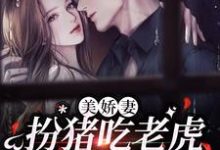 美娇妻扮猪吃老虎，爆改懒汉老公小说完结版章节免费阅读-经典文学