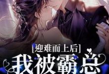 迎难而上后，我被霸总狠狠宠爱陆廷澈苏小曼小说免费阅读-经典文学