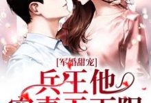 求军婚甜宠：兵王他宠妻无下限小说的全文免费阅读链接-经典文学