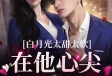 温暖温以南小说白月光太甜太软，在他心尖留下烙印章节免费阅读-经典文学
