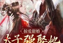 掠爱甜婚:太子强娶她入东宫小说,掠爱甜婚:太子强娶她入东宫免费阅读-经典文学