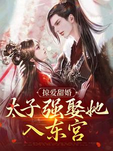 掠爱甜婚：太子强娶她入东宫小说，掠爱甜婚：太子强娶她入东宫免费阅读
