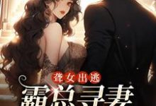 夏时陆南沉小说聋女出逃,霸总寻妻惊动全城章节免费阅读-经典文学