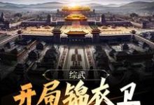 完结版《综武：开局锦衣卫，无敌镇山河！》免费阅读-经典文学