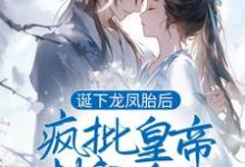 诞下龙凤胎后,疯批皇帝封我为后免费阅读,诞下龙凤胎后,疯批皇帝封我为后章节在线阅读-经典文学