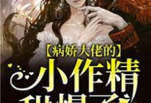 小说《病娇大佬的小作精甜爆了》在线章节阅读-经典文学