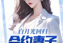 白月光回归，合约妻子和我离婚了小说免费资源，白月光回归，合约妻子和我离婚了在线阅读-经典文学