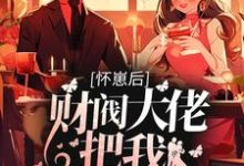 已完结小说《怀崽后，财阀大佬把我娶回家》章节免费阅读-经典文学