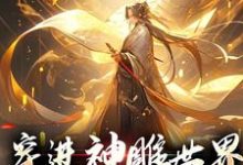 穿进神雕世界，我成武林至尊小说无弹窗阅读的网站推荐-经典文学