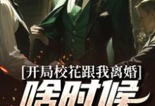 《开局校花跟我离婚，啥时候结的婚？》全集免费在线阅读（徐帆许梦瑶）-经典文学