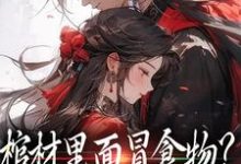 求棺材里面冒食物？将军他傻眼了小说免费资源-经典文学