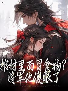 求棺材里面冒食物？将军他傻眼了小说免费资源