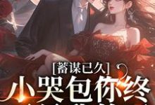 免费看蓄谋已久，小哭包你终于是我的了小说的网站有哪些？-经典文学