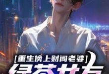 重生傍上财阀老婆，绿茶女友悔哭小说有没有完结版在线？-经典文学