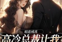 在线寻找暗恋成真：高冷总裁让我给他当老婆小说的无删减版本-经典文学