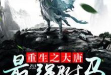 重生之大唐最强驸马房遗爱高阳秦京娘小说在线章节目录阅读最新章节-经典文学