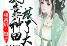 和离后，娘子她靠种田成了大佬这本小说完结了吗？免费查看最新章节-经典文学
