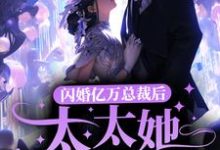 在线免费阅读闪婚亿万总裁后，太太她成了白富美完整小说-经典文学