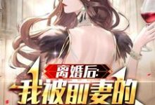 求离婚后:我被前妻的天后闺蜜倒追小说的全文免费阅读链接-经典文学