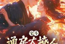 宅斗：通房太撩人，世子他动了心小说，宅斗：通房太撩人，世子他动了心最新章节-经典文学