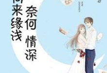求向来缘浅，奈何情深小说免费资源-经典文学