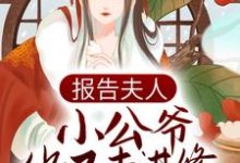 报告夫人,小公爷他又去进修男德了小说无弹窗阅读的网站推荐-经典文学