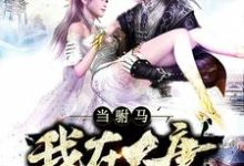 完结版《我在大唐当驸马》免费阅读-经典文学