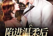 陷进温柔后，他宠上瘾了免费阅读，陷进温柔后，他宠上瘾了章节在线阅读-经典文学