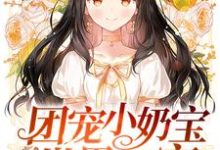夏沅沅墨尧宁熙宁楚遇小说团宠小奶宝是世界首富在线阅读章节-经典文学
