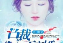 名门婚宠:总裁不离婚章节免费在线阅读,江斯年秦时秦月完结版-经典文学