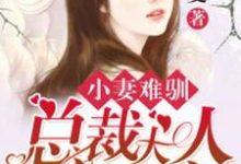 小说《小妻难驯：总裁大人蜜蜜宠》在线章节阅读-经典文学